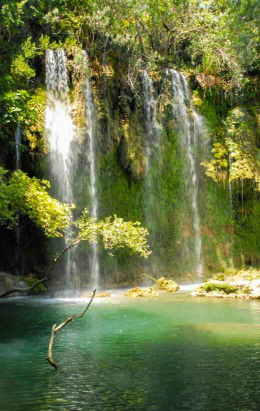 Susesi Blog On Iki Ay Tatil Right D