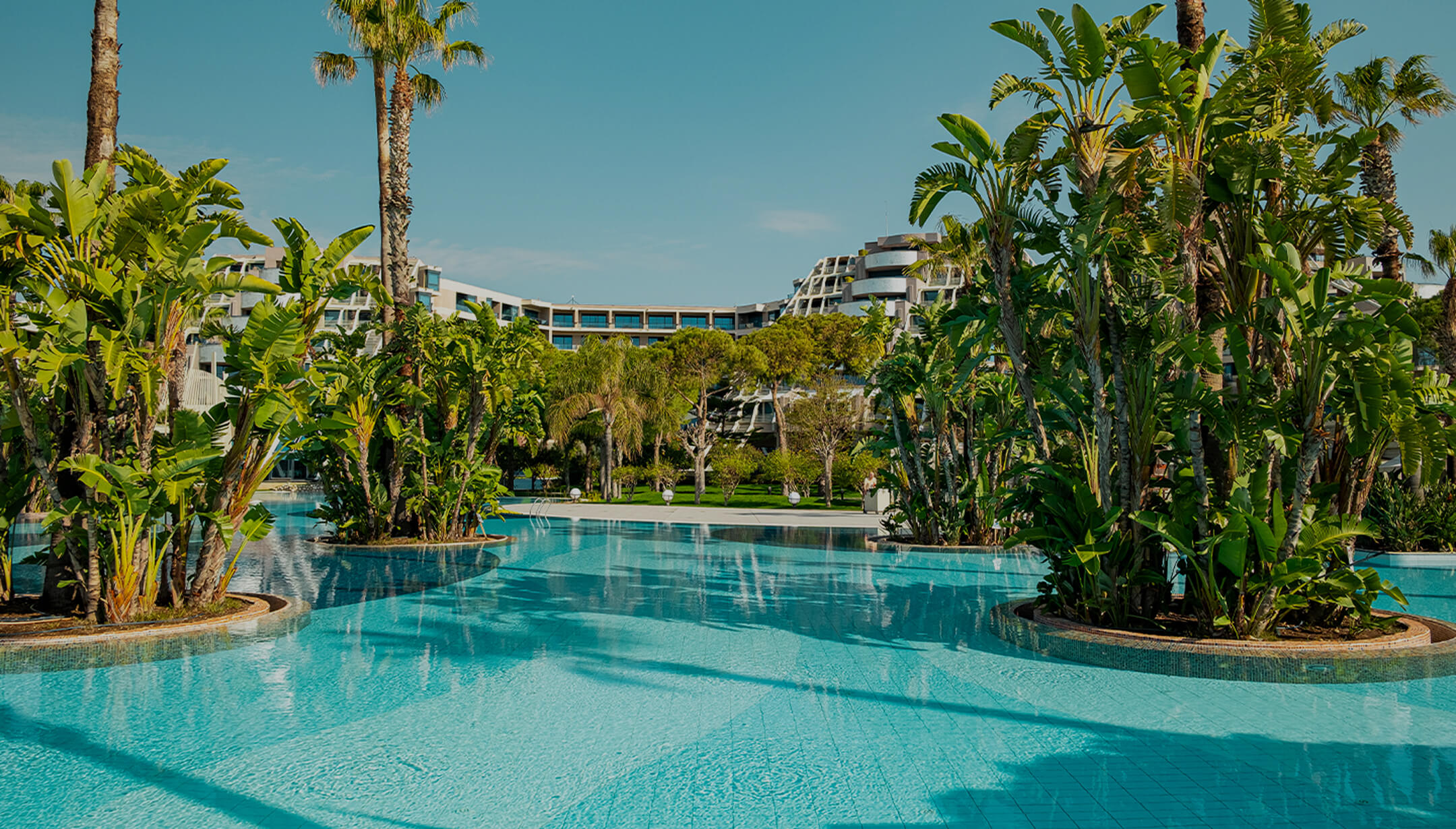 Susesi Hotels Plaj Ve Havuzlar Palmiye Havuzu Banner